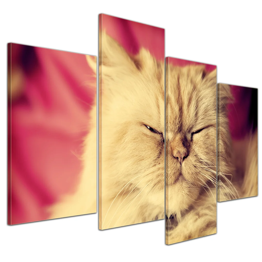Cute Cat 4-Piece Photographic Print on Canvas Set