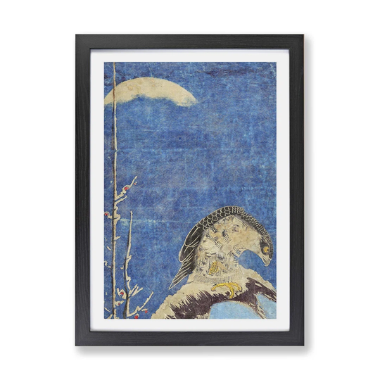 'Hawk Perched on A Branch' by Isoda Koryusai - Picture Frame Painting Print on Paper