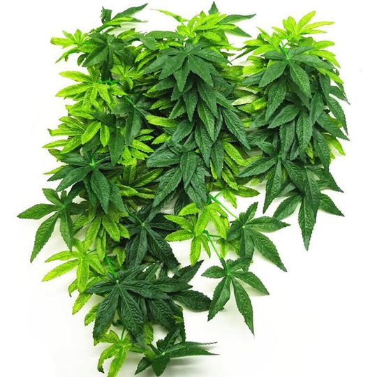 Gift - Plastic Amapallo Decoration Plant for Reptile/Amphibian