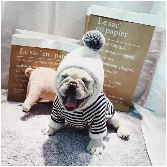 Benobby Kids - Stripes cotton padded stretch dog clothes pet clothes autumn and winter pug pug Chenery Teddy plus hair with cap . (m) back length 27