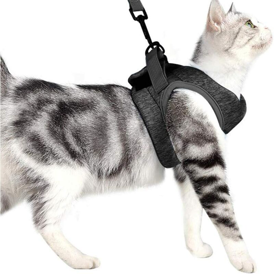 Modou - 1 Set Cat Vests with Traction Rope Harness and Leash Quick Release Collar Kitten Cat Safety Vest (Black, Size s)
