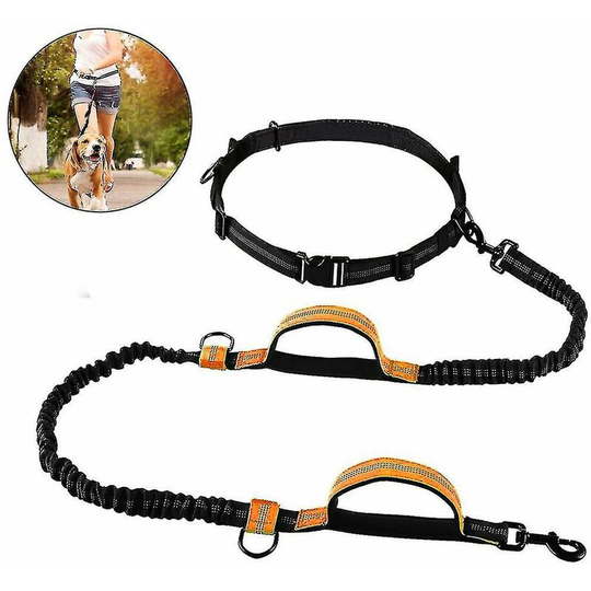 FVO - Dog Leash, Upgrade Hands Free Dog Leash with Two Bungees, Long Nylon Dog Leash with Adjustable Belt for Running, 2.5 x 124cm