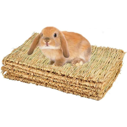 Gift - Rabbit Mat, Grass Mat for Rabbits, Hand-woven Natural Grass Mat for Small Pet Chew Toy Bed for Hamster, Pig, Rabbit and Parrot - 4 Pieces
