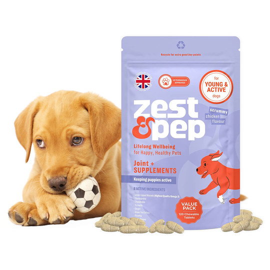 Hip & Joint Supplements for Puppy and Dogs, Play Active Formula