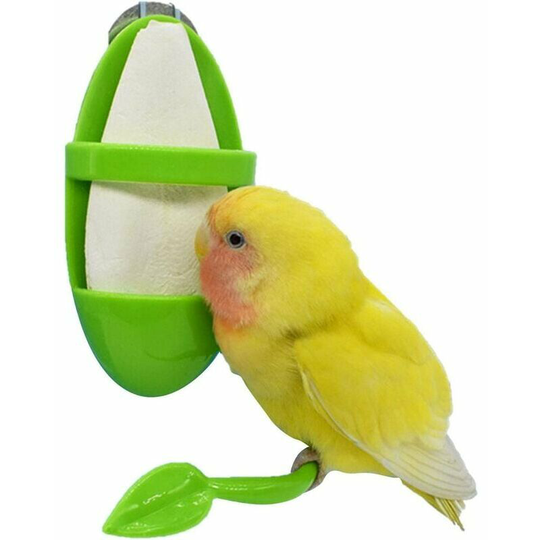 11*5.5cm Bird Feeder Column Food Container(Green)