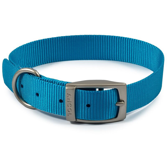 Nylon Dog Collar (35cm - 43cm) (Aqua Blue) - Aqua Blue - Ancol