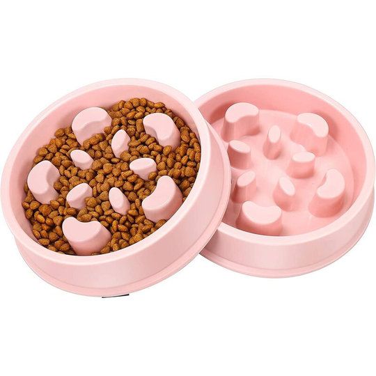 Basic Bowls Set of 2 Dog and Cat Bowls with Fun Design, Pink