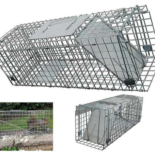 Briefness - Large Metal Rat Cage Trap For Catching uk Grey Squirrels & Small Wildlife, Humane Rodent Live-Catch Trap, No Kill, Long Lasting Reliable