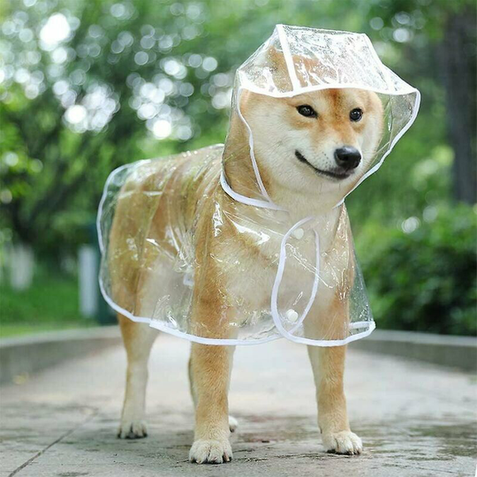 Bunty Dog Puppy Pet pvc Waterproof Clear Transparent Rain Body Coat Walking Jacket Hood Hooded Water Repellent Clothes