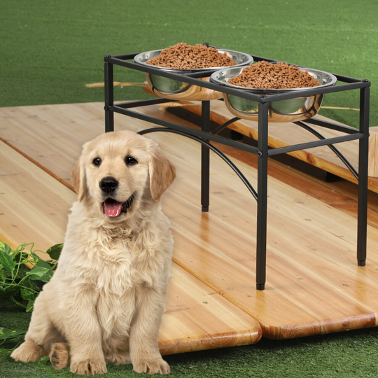 Dual Elevated Stand Bowl Dog Puppy Feeder Bowl Pet Food Bowl Stand