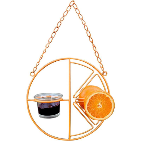 Metal Hanging Oriole Bird Feeder,Oriole Bird Feeder for Outdoors Jelly and Oranges 2 in 1 Hanging Clementine Hummingbird Oriole Feeder,for Indoor