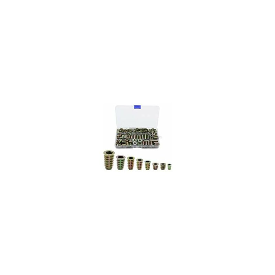 Echoo - Zinc Alloy Hex Threaded Insert Nuts Threaded Insert Nuts External Thread for Wood Furniture Nut Tool Kit 230 Pieces
