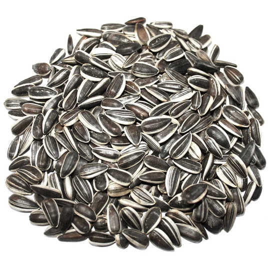 Amillianna Sunflower Seeds