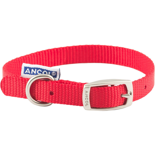 Ancol - Pet Products Heritage Buckle Fasten Weatherproof Dog Collar (35-43cm (Size 4)) (Red) - Red