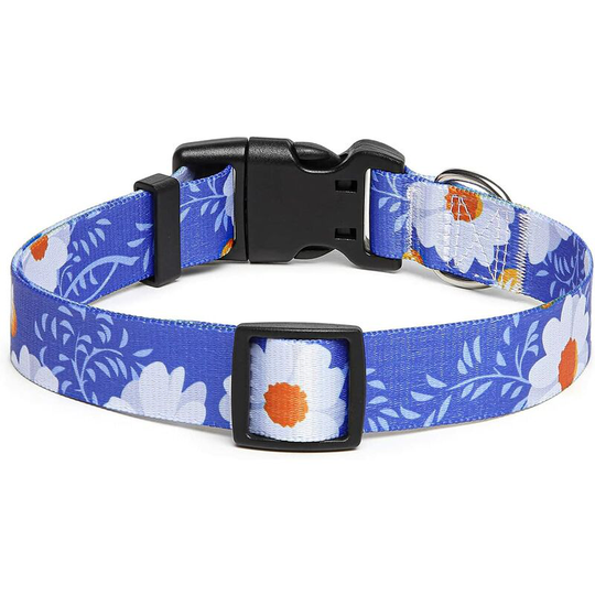 Dog Collar, Fashion Design with Quick Release Buckle, Classic Adjustable Nylon Collar for Small, Medium and Large Dogs (M, Daisy)