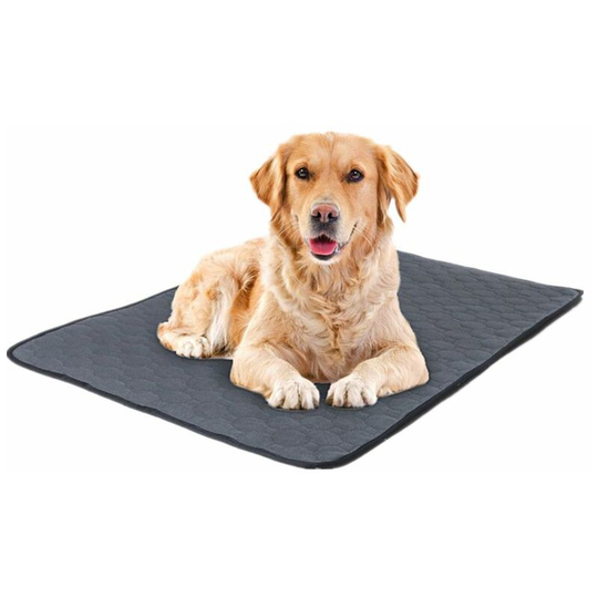 Washable Dog Pee Pad, Extra Large Reusable Puppy Training Pads Super Absorbent Puppy Pet Incontinence Pads for Playpen Mat and Litter Mat 670*50 for