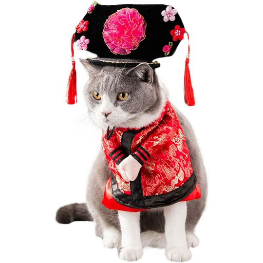 Dog Cat Pet Clothes Cute Costume Cute Puppy Kitty Jackets Shapeshifting Clothes Shirts Dresses Suits Outfit for Halloween Christmas (s, Princess)