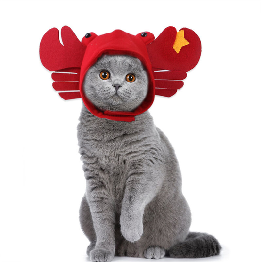Pet hat New Teddy dressed up as a crab headdress Cat hat Cat headgear Pet supplies 27cm