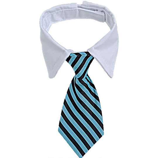 Small Dog Bow Tie, Handmade Adjustable Straight Collar for Dogs and Cats