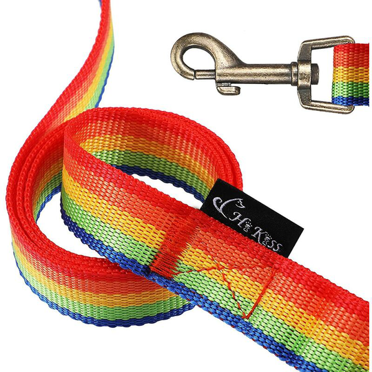 Dog Leash, Strong And Durable Leash With Easy To Use Collar Hook,3/4 Inch Wide Dog Leashes For Small Dogs And Puppy Thsinde