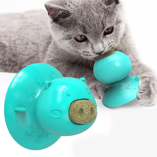 Cat Catnip Toys Interactive Cat Toy Licking Treats Toys Pig Nose Shape for Cats Teeth Cleaning Chewing Playing