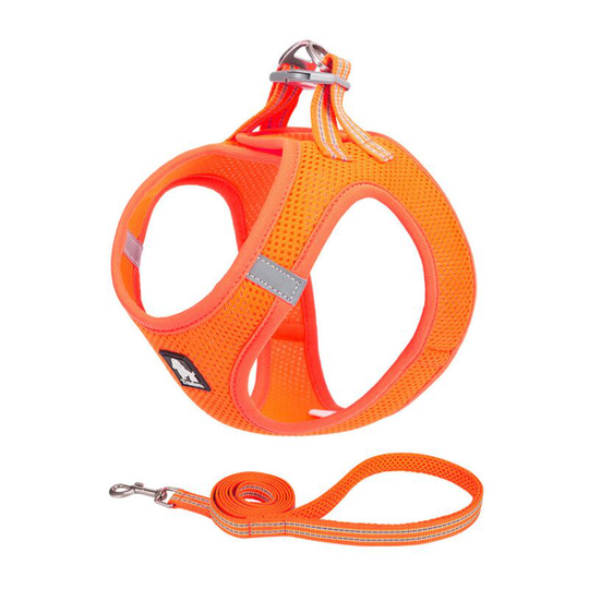 Perle Raregb - Traction dog rope small dog dog rope chain walking dog leaves dog vest traction rope orange 3xs