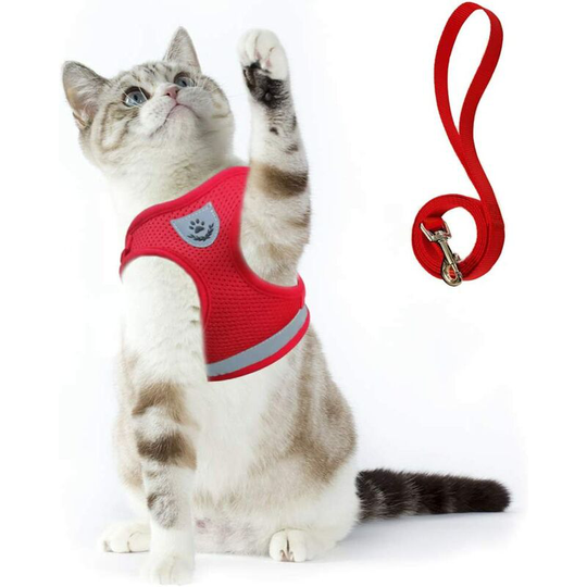 Cat Harness Anti-escape Puppy Harness Soft Rabbit Harness with Leash for Kitten, Dogs, Chihuahua(M,red)