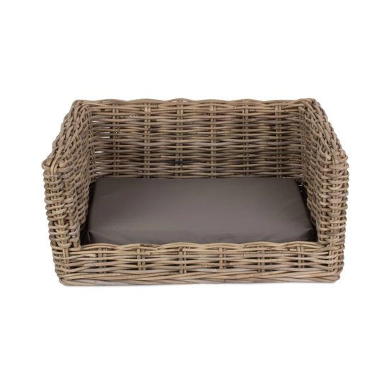 Atkinson Dog Sofa in Brown