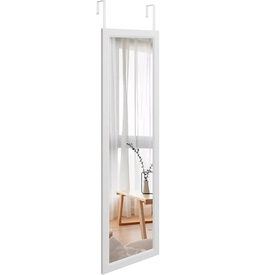 Aubrianne Resin Framed Wall Mounted Full Length Mirror