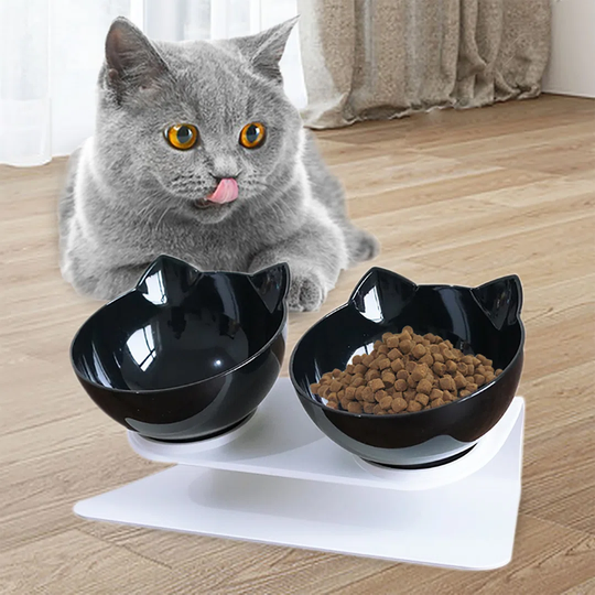 2-Bowl 15 ° Inclined Cute Plastic Pet Feeding Bowl (Two Black Bowls)