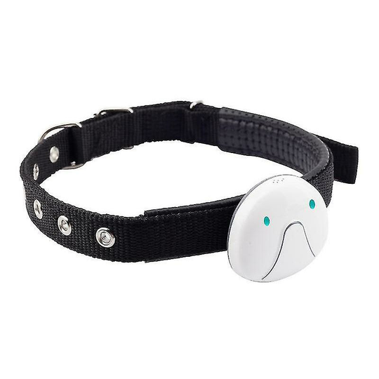 Gps Smart Cat Dog Collar gps Tracker
