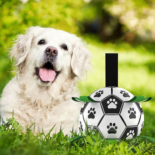 Pet Supplies Dog Ball Toy Multifunctional Interactive Dog Toy a