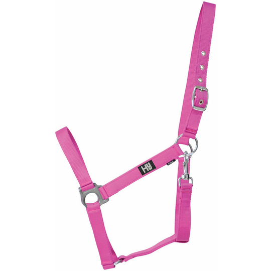 Hy Economy Plus Head Collar (Cob) (Magenta) - Magenta