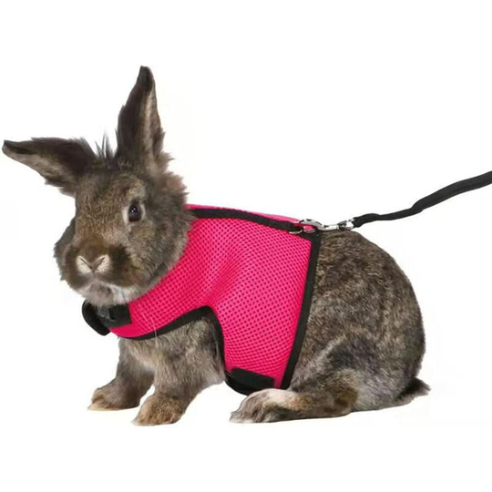 Soft Rabbits Adjustable Harness with Elastic Lead Leash for Small Animals Bunny Hamsters Cats(L,red)