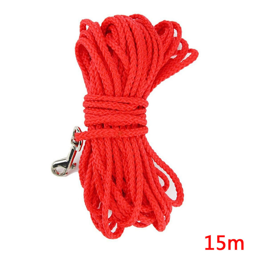 (Red) Dog Training Long Line Recall Walking 15M