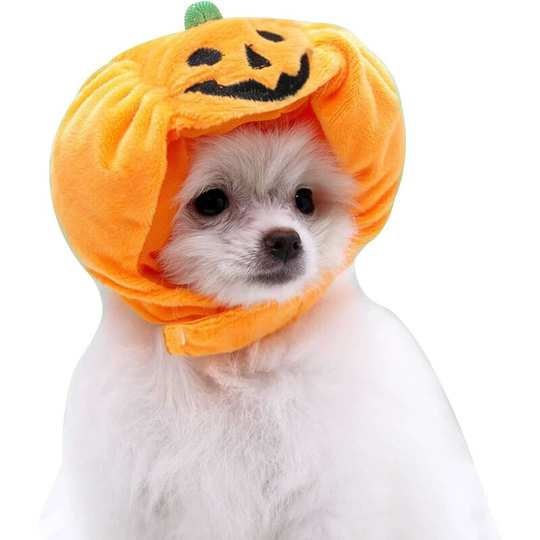 Halloween Pumpkin Hat Cute Headwear Adjustable Pumpkin Hat Pet Hat Festival Head Accessory Hat for Cat Dog l