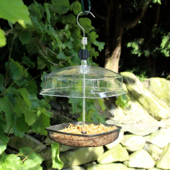 Blomkest Tray Bird Feeder