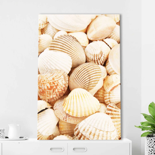 "Shells 2" Print On Canvas
