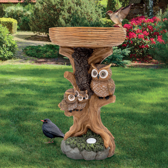 GardenKraft 11059 Owl Design Bird Bath with Solar Light / Weatherproof Material / 8 Hours Lighting Time / Rustic Style Garden Decoration