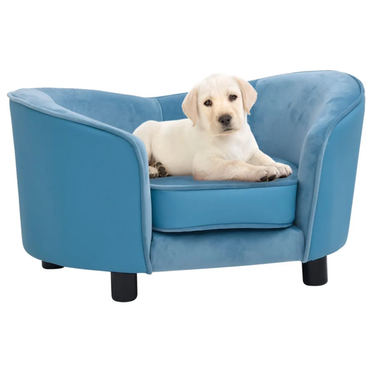 Dabney Dog Sofa in Turquoise