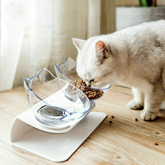 Non-slip Double Pet Bowls with Raised Stand Dog Cat Food Water Feeding Station