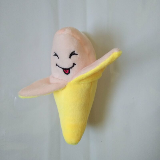 Dog Chew Toys Squeaky Toy for Pets