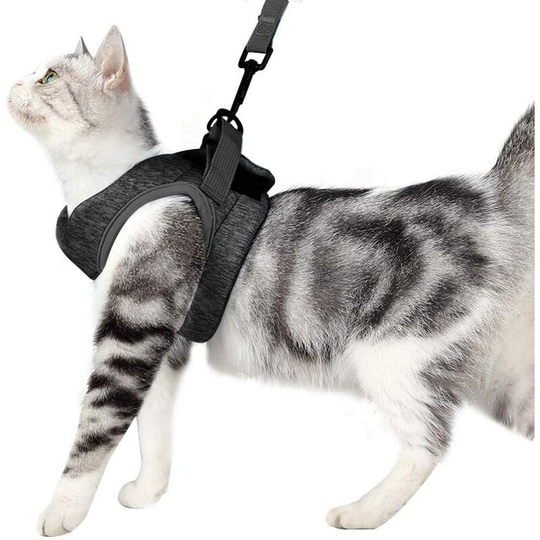 Harness and Leash For Cat Necklace Kitten Ultra-Light Cat Walking Jacket Running Sweet and Comfortable, Waterproof, Suitable for Puppies and Rabbits