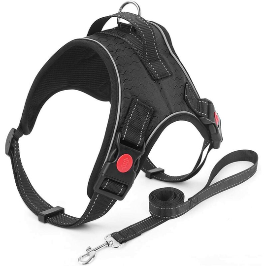 No Pull Dog Harness and Leash Set, Adjustable Breathable Comfort, Kitten Anti-Escape, Easy to Use Harness, Buckle Puppy, Pets, Small Medium Dog Large