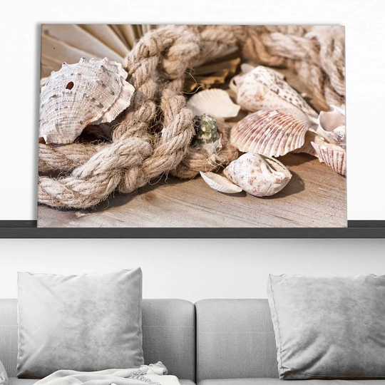 "Shells" Print On Canvas