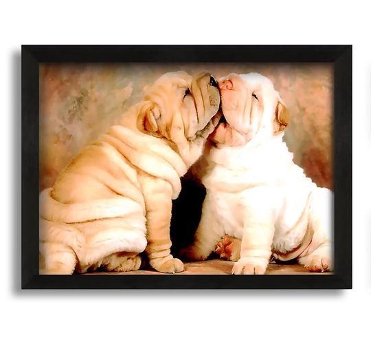 Shar Pei Puppies - Picture Frame Photograph on Canvas