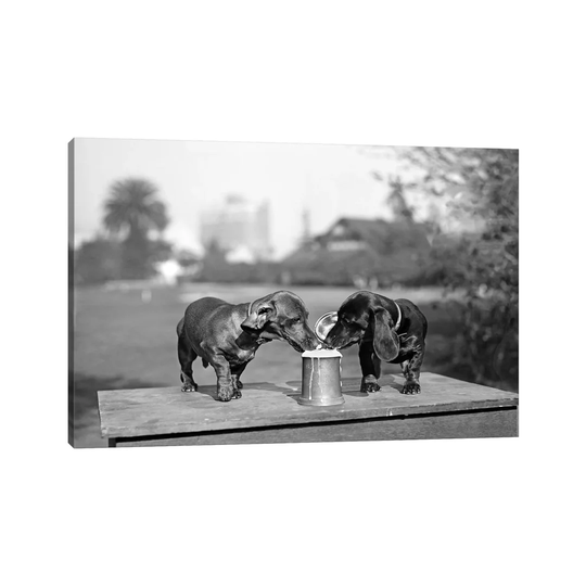 1890S Two Dachshund Puppies Lapping Beer From Stein by Vintage Images - Wrapped Canvas Photograph Print