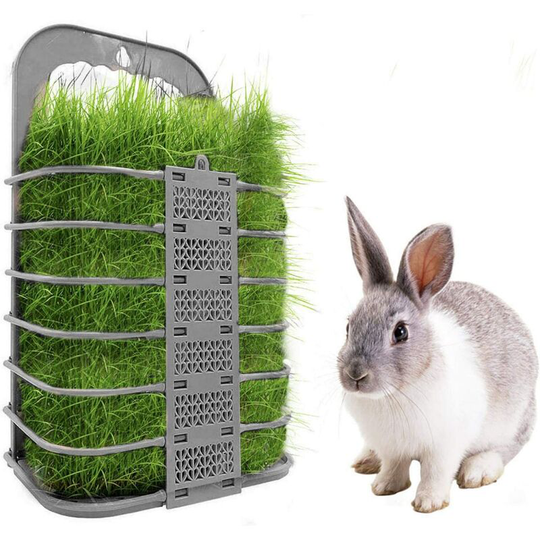 Sun Flowergb - Guinea Pigs Hay Forage Rack,Hay Bowl And Rack For Rabbits Chinchillas Large Guinea Pig Small Animals Rabbit Free Alfalfa Dispenser