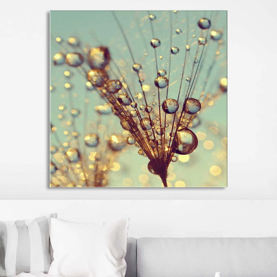 Dewy Dandelion Flower at Sunset Close-up I - Wrapped Canvas Photograph
