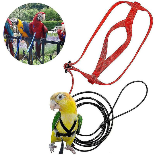 Pet Bird Harness Adjustable Parrot Bird Harness Leash Pet Anti-bite Training Rope Outdoor Flying Harness,XS,11
